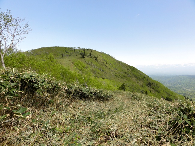 d0235336_22304367.jpg
