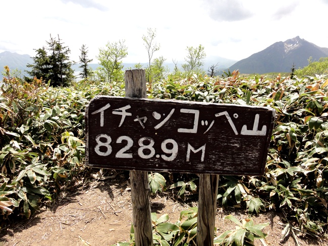 d0235336_22314440.jpg
