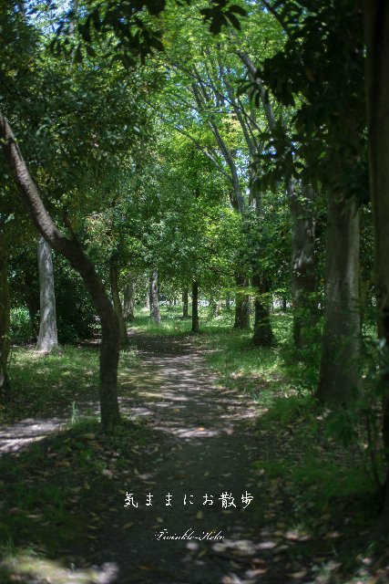 f0158043_22465859.jpg