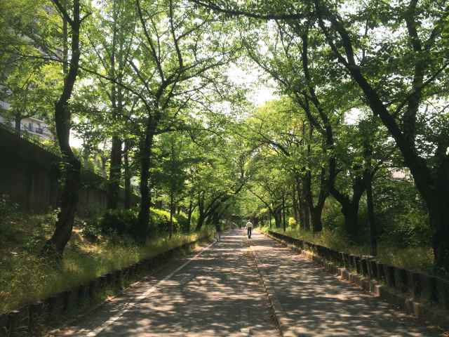 d0151746_18301748.jpg