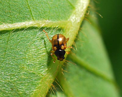 e0035757_23503669.jpg
