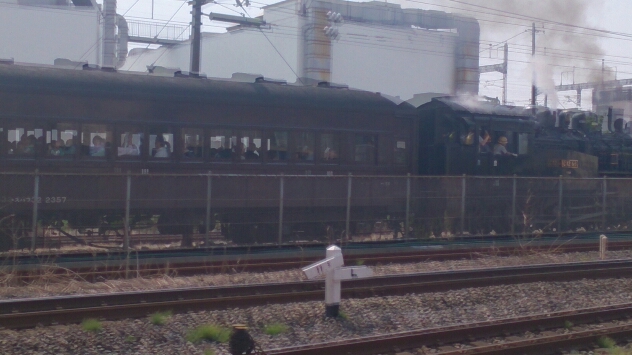 d0116059_12154837.jpg