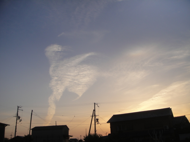 雲の鳥に慰労されて　　　　　by　　　  (TATE-misaki)_c0108460_22405996.jpg