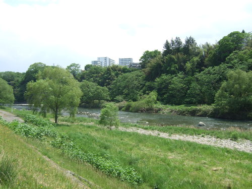 f0032766_18341.jpg