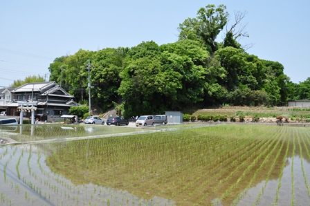 壺井八幡宮奉納神事　　　２０１４－５－２５_d0163073_20331221.jpg