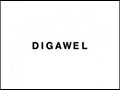 DIGAWEL ~14SS~_e0152373_17363213.jpg