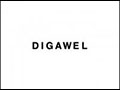 DIGAWEL ~14SS~_e0152373_17371291.jpg