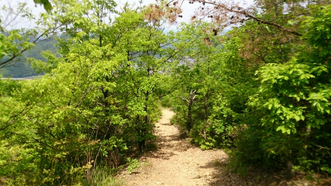 f0084573_16183311.jpg
