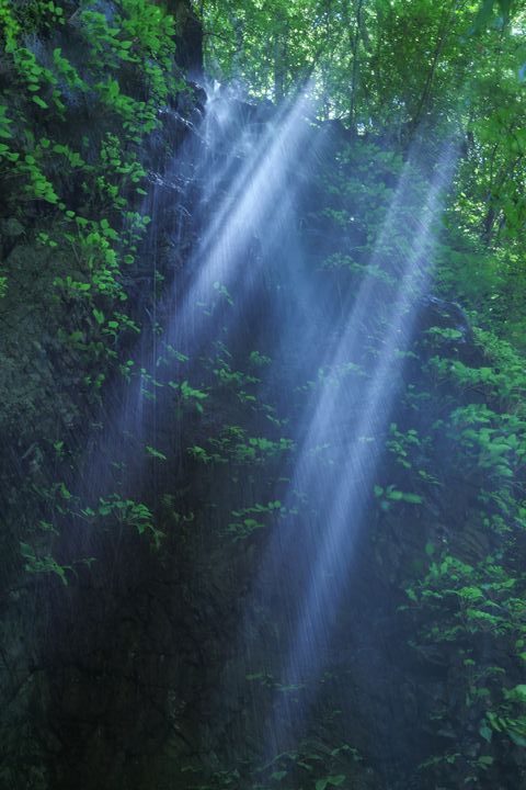 e0152576_16261251.jpg