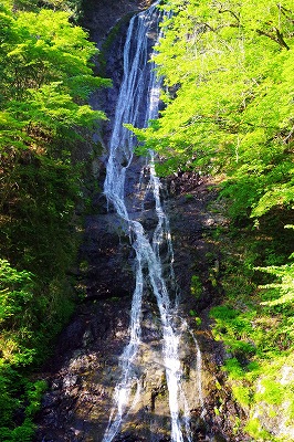 c0324983_00033999.jpg