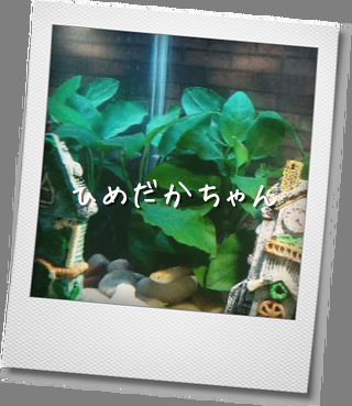 明日はお休み・・・_b0210688_19103163.png