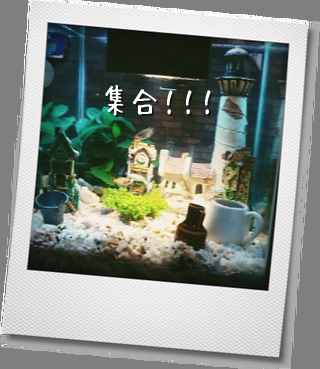 明日はお休み・・・_b0210688_1911371.png