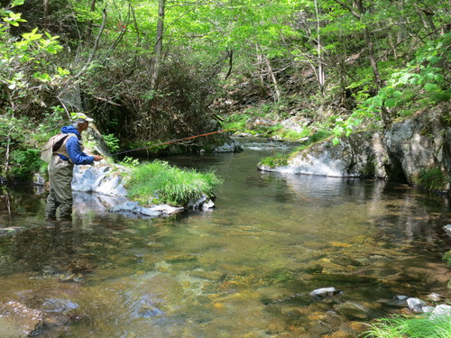 f0166390_19112.jpg