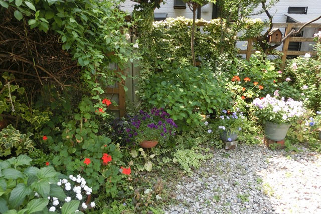 庭の花写真集_d0181492_153737100.jpg