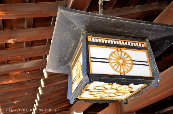 皐月　明治神宮　　Meiji Jingu(Shinto shrine)_d0025294_17323519.jpg