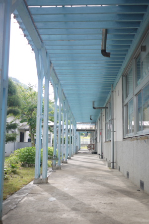 f0161494_5355280.jpg