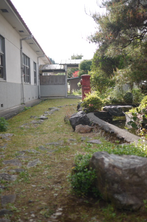 f0161494_53595.jpg