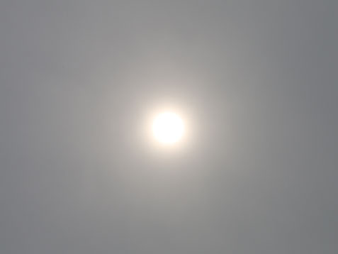 蒸しっと日曜日♪(*´ω`*)_c0140599_1194524.jpg
