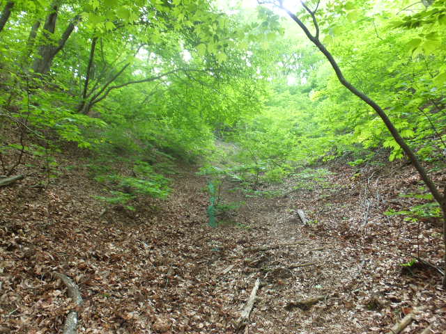 a0271502_17405999.jpg