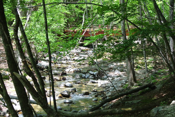 f0221204_81816.jpg