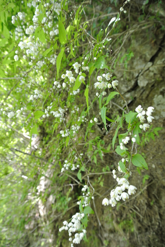 f0221204_82227.jpg