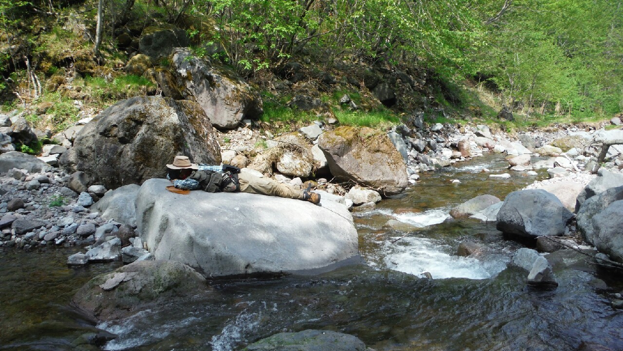 b0172805_37212.jpg