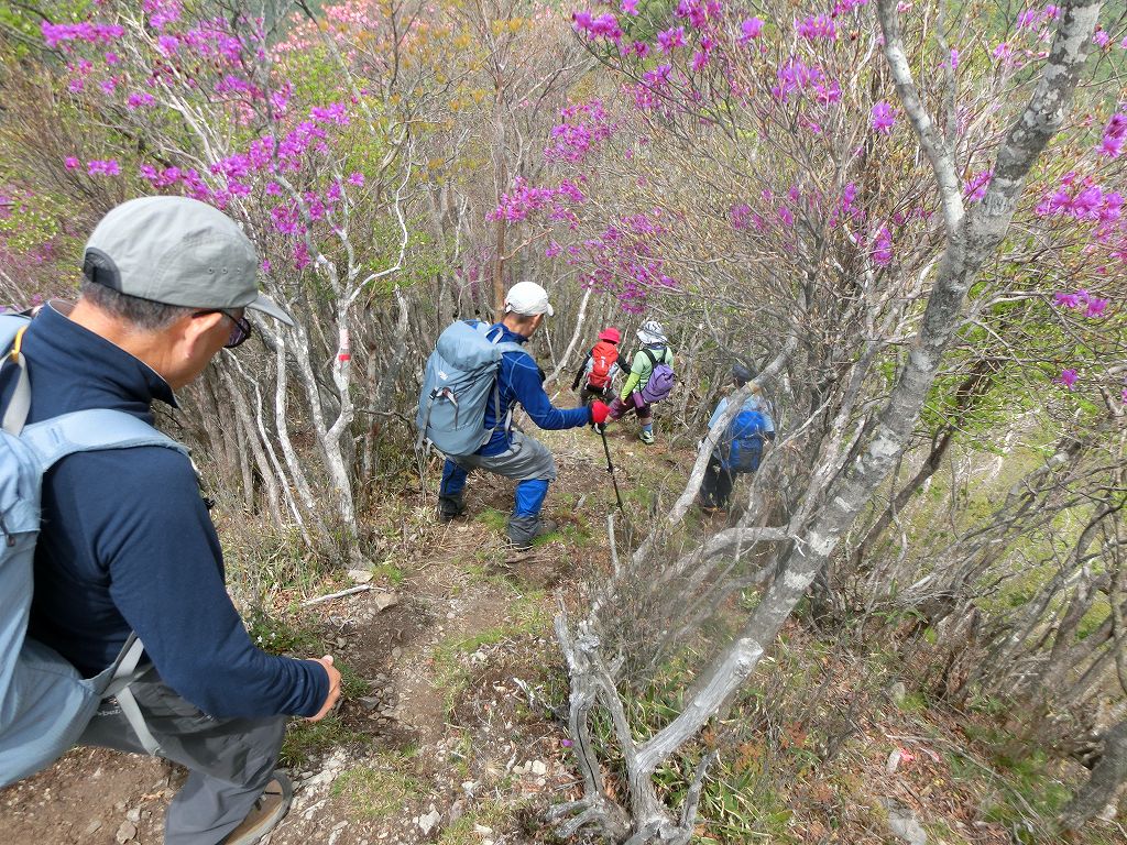 高丸山～雲早山　花咲き乱れる　縦走コース　_b0124306_20273960.jpg