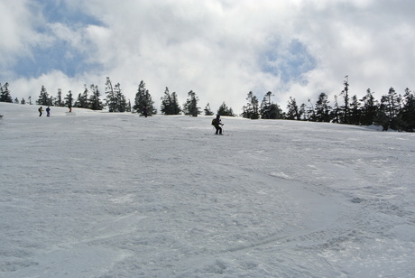 2014年4月19日春の八甲田を楽しむ_c0242406_1036454.jpg