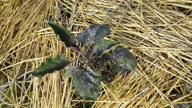 c0280206_623138.jpg