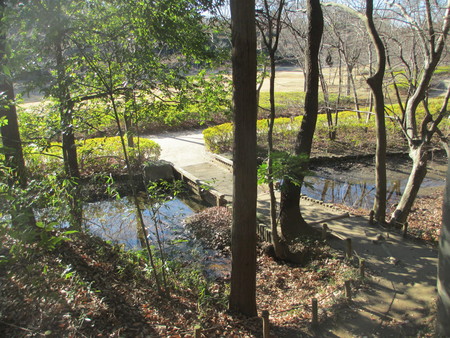 b0203907_17325038.jpg