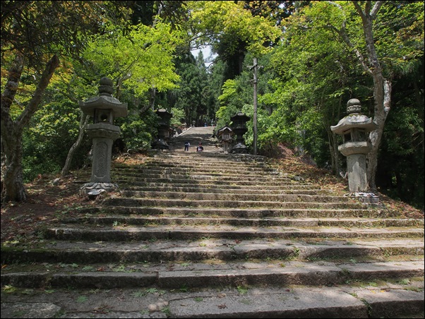 2014/5/25　火伏の神様 愛宕山で九輪草_e0041518_1639552.jpg