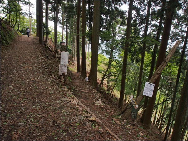 2014/5/25　火伏の神様 愛宕山で九輪草_e0041518_16404916.jpg