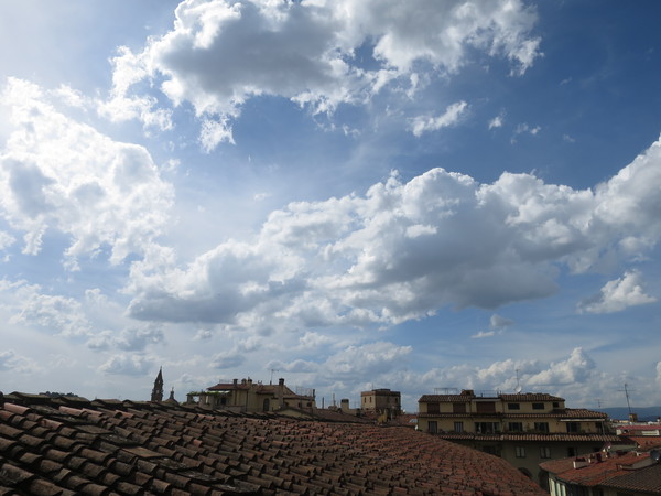 d0219019_265727.jpg