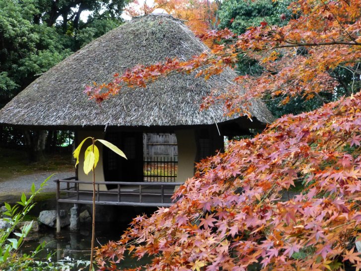 京都錦秋編(20)：慈照寺銀閣(12.12)_c0051620_6351734.jpg