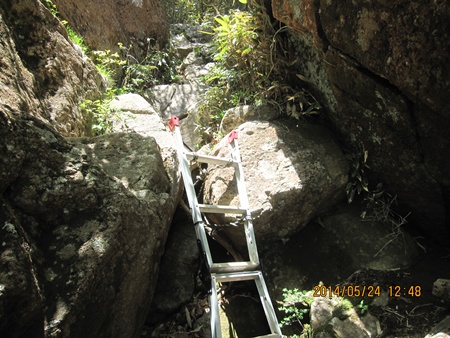 f0193521_1221832.jpg