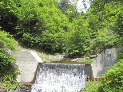f0193521_1554670.jpg