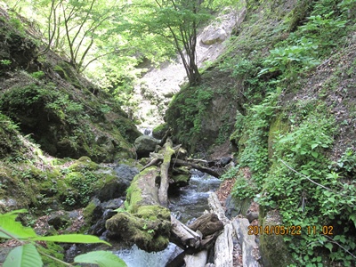 f0193521_15571894.jpg