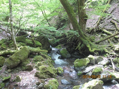 f0193521_15594124.jpg