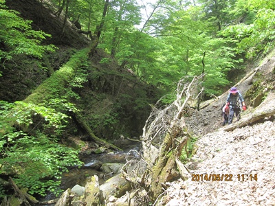 f0193521_1601194.jpg