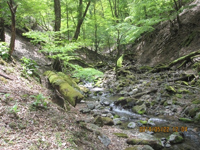 f0193521_165365.jpg