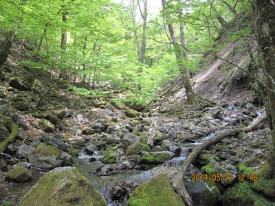 f0193521_1665284.jpg