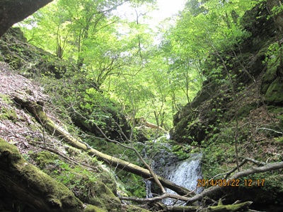 f0193521_1682234.jpg