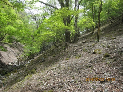 f0193521_1736567.jpg