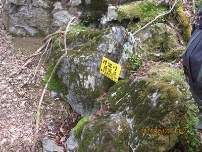 f0193521_17374997.jpg