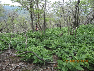 f0193521_17394272.jpg
