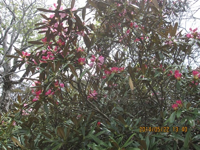 f0193521_17404598.jpg