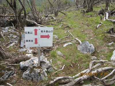 f0193521_1741985.jpg