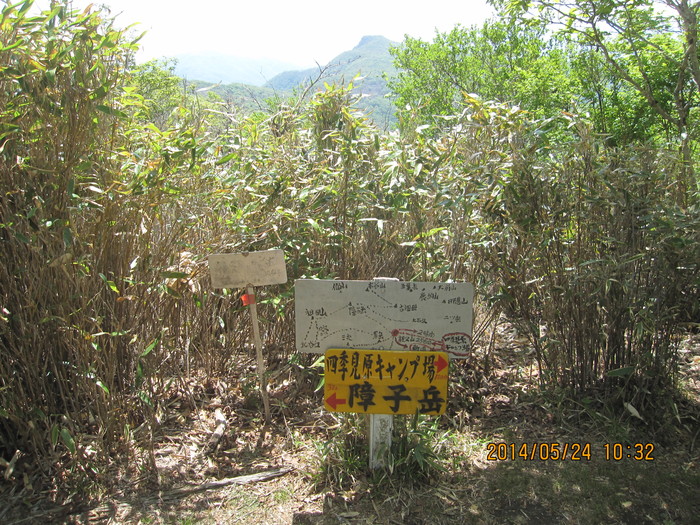 f0193521_81333100.jpg