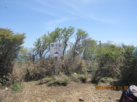 f0193521_83659100.jpg