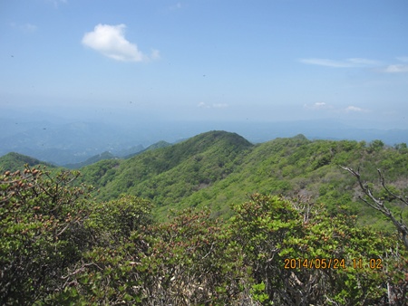 f0193521_837274.jpg
